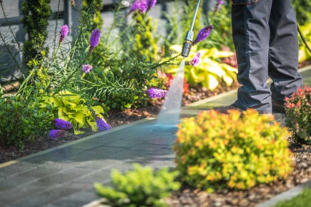 Best Pre-Holiday Cleaning  in Brookdale, SC